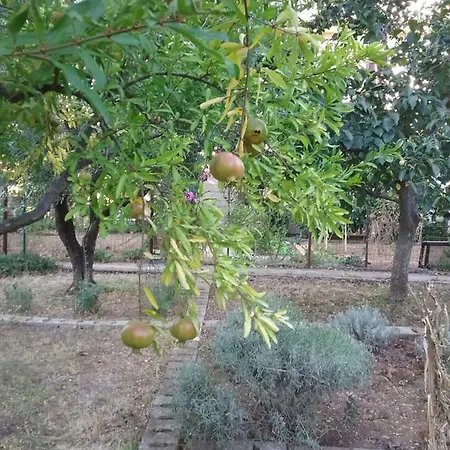 Ozad Arene Appartamento Pola
